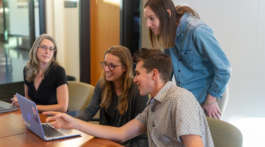 LMS Content for Best Results: Library vs Customized Training